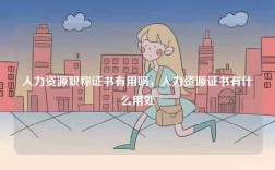 人力資源職稱證書有用嗎，人力資源證書有什么用處