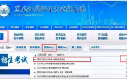 2024 黑龍江成人高考考試成績(jī)?cè)谀牟?？什么時(shí)候出來(lái)？