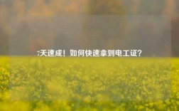 7天速成！如何快速拿到電工證？
