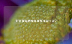如何獲得特種作業(yè)高壓電工證？