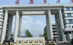 2025安徽單招落榜能上預(yù)科班嗎？安徽工貿(mào)預(yù)科班招生條件解讀