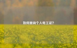 如何查詢個(gè)人電工證？