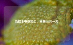 急招水電安裝工，高薪350元一天