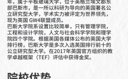 巴斯大學相當于國內(nèi)哪個大學？世界排名多少？