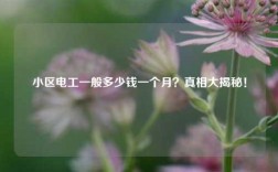 小區(qū)電工一般多少錢一個月？真相大揭秘！