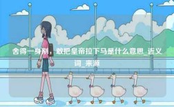 舍得一身剮，敢把皇帝拉下馬是什么意思_近義詞_來源