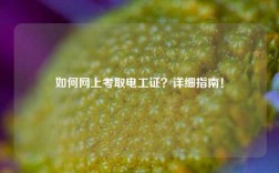 如何網(wǎng)上考取電工證？詳細(xì)指南！