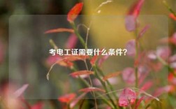 考電工證需要什么條件？