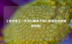工地水電工一天可以賺多少錢？看看這些數(shù)據(jù)就知道！