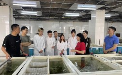 漁業(yè)發(fā)展研究生找什么工作(漁業(yè)發(fā)展專碩好就業(yè)嗎)