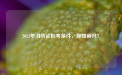 2023年消防證報(bào)考條件，你知道嗎？