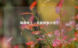 揭秘電工一天能掙多少錢(qián)？