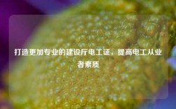 打造更加專業(yè)的建設廳電工證，提高電工從業(yè)者素質
