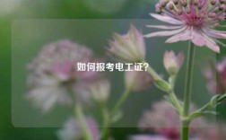 如何報(bào)考電工證？