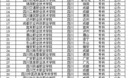 2024年四川?？茖W(xué)校公辦排名