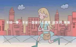 不經(jīng)一事，不長一智是什么意思_近義詞_來源