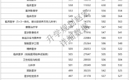 重慶醫(yī)科大學(xué)研究生報(bào)錄比(非全日制研究生)