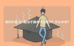 紐約大學(NYU)相當于國內(nèi)什么檔次？什么水平？