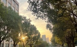 2025年安徽中考250分怎么選？中專？安徽工貿(mào)職業(yè)技術(shù)學(xué)院（五年一貫制）免升學(xué)焦慮 3年中專2年公辦大專