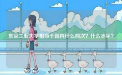 東京工業(yè)大學(xué)相當(dāng)于國內(nèi)什么檔次？什么水平？