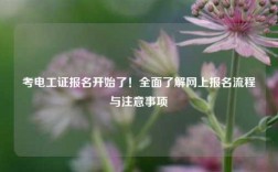 考電工證報名開始了！全面了解網(wǎng)上報名流程與注意事項