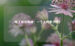 電工報(bào)價(jià)揭秘：一個(gè)工時(shí)多少錢？
