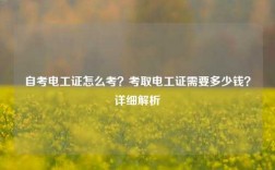 自考電工證怎么考？考取電工證需要多少錢？詳細(xì)解析