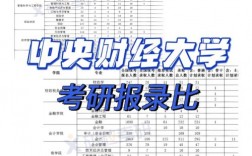 央財(cái)考研難度大嗎(上財(cái)和央財(cái)哪個考研難度大)