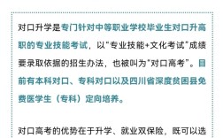 什么是對(duì)口高考