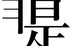 是非打一成語(yǔ)