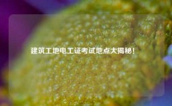 建筑工地電工證考試地點(diǎn)大揭秘！ 