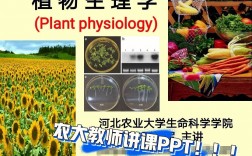 植物學(xué)考研就業(yè)前景(植物學(xué)考研有哪些科目)
