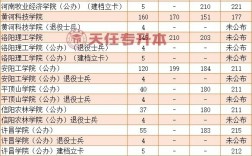 河南會計專碩學(xué)校排名(會計專碩容易上岸的學(xué)校推薦)