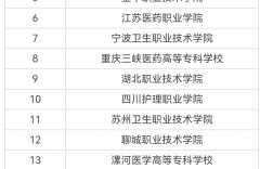 2024年河北護理專業(yè)學校排名