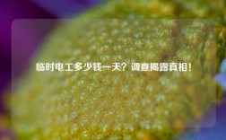 臨時(shí)電工多少錢(qián)一天？調(diào)查揭露真相！
