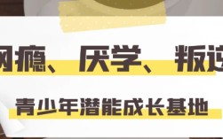 武漢 紐特心理叛逆學校，上門接送~