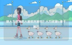 做人力資源的人都很厲害嗎？人力資源hr是干嘛的