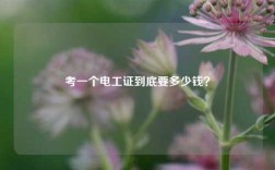 考一個(gè)電工證到底要多少錢？