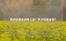 如何快速拿到電工證？多少錢能拿到？
