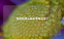 如何在網(wǎng)上報名考電工證？