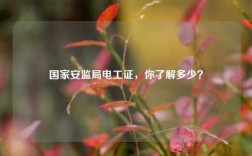 國(guó)家安監(jiān)局電工證，你了解多少？