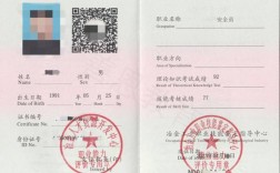 個(gè)人怎么考安全員證(安全工程師證報(bào)考條件是什么)