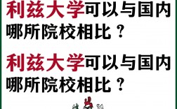 利茲大學(xué)相當(dāng)于國內(nèi)什么檔次？什么水平？