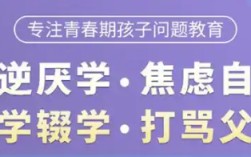 湖北武漢-紐特心理疏導(dǎo)機構(gòu)|叛逆、厭學(xué)、網(wǎng)癮