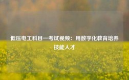 低壓電工科目一考試視頻：用數字化教育培養(yǎng)技能人才