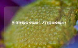 如何考取安全員證？入門指南全解析！