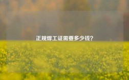 正規(guī)焊工證需要多少錢？