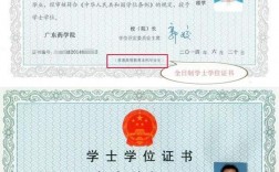 畢業(yè)后還能申請學(xué)士學(xué)位嗎(沒有學(xué)士學(xué)位可以申請碩士學(xué)位嗎)