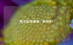 電工證3年復(fù)審，多少錢？