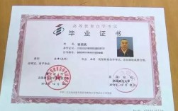 現(xiàn)在自學(xué)考什么證吃香(2024年什么證書含金量高)